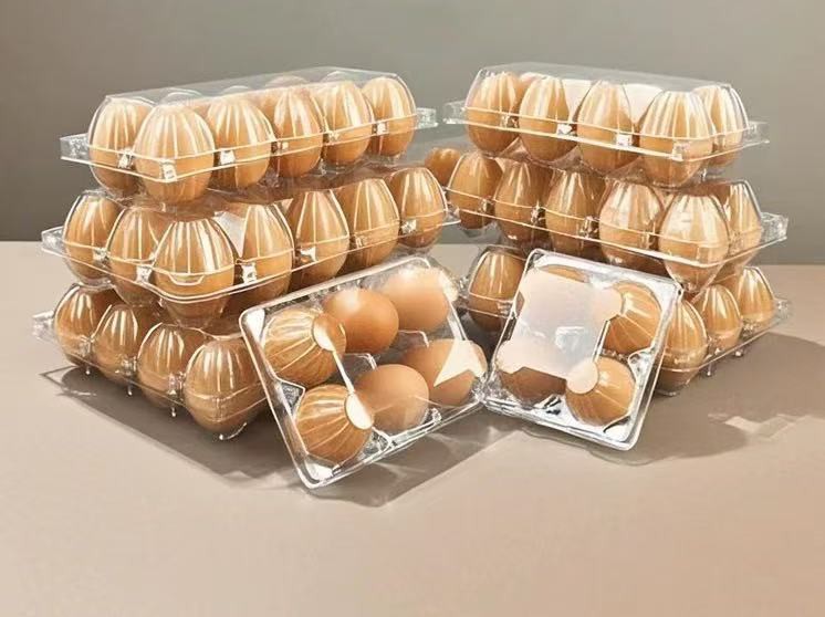 Clear Egg Cartons Bulk